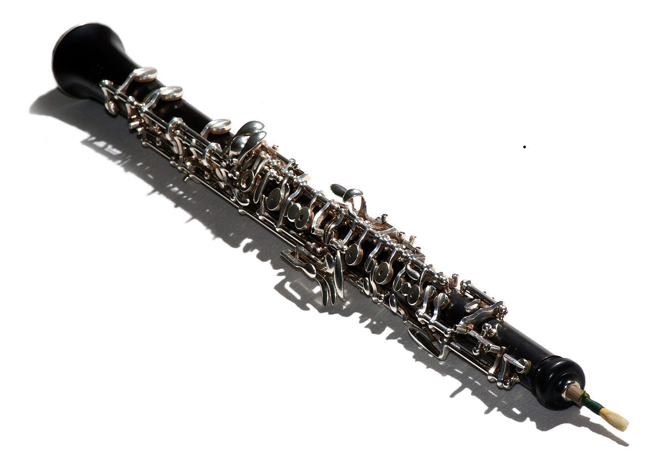 Vilket instrument är svårast att lära sig spela? Image